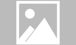 91咪兔直播,打造全新娱乐体验的直播平台